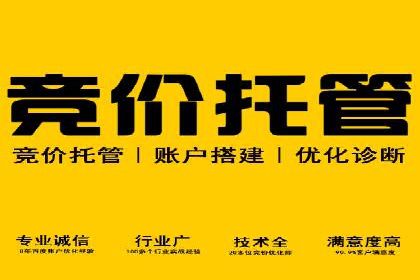 SEM代运营公司成功案例：助力企业快速实现盈利